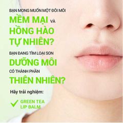 INNISFREE_Son Dưỡng Trà Xanh Green Tea Lip Balm 3.6g
