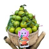  QUÝT ĐƯỜNG LAI VUNG 5KG - 10 ĐẾN 11 TRÁI/KG 