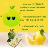  VỎ BƯỞI CHANH MUỐI SẤY DẺO GÓI 50G 