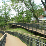 Sàn gỗ nhựa Kankyo-Wood II - MKV07