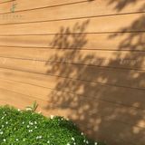 Tấm ốp gỗ nhựa Einwood - EW59F