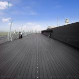 Sàn gỗ nhựa Einwood - EW30F