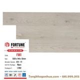 Sàn gỗ công nghiệp FORTUNE 12mm