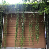 Sàn gỗ nhựa EWOOD - D14025