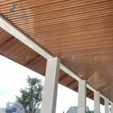 Tấm ốp gỗ nhựa eWood - EW204x30