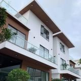 Tấm ốp gỗ nhựa EWOOD - W14821
