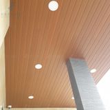 Tấm ốp gỗ nhựa eWood - EW118x10