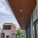 Tấm ốp gỗ nhựa eWood - EW125x12