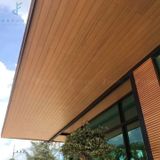 Tấm ốp gỗ nhựa eWood - EW125x12