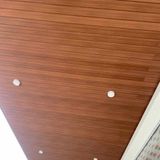 Tấm ốp gỗ nhựa CT WOOD CT-101 nhập khẩu Malaysia