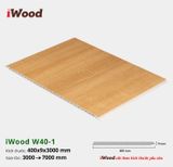 Tấm ốp Nano iWood W400x9-W40