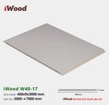 Tấm ốp Nano iWood W400x9-W40