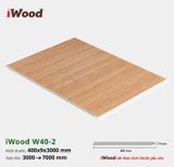 Tấm ốp Nano iWood W400x9-W40