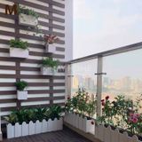 Tấm ốp gỗ nhựa composite Southwood SW_W71H11