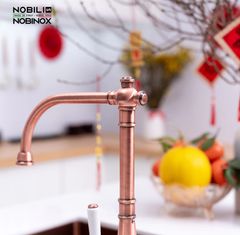 Vòi rửa bát charlie NB255C