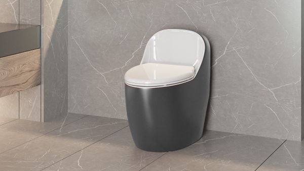 Bệt vệ sinh liền khối trứng mới phiên bản màu ghi LK 169 Grey