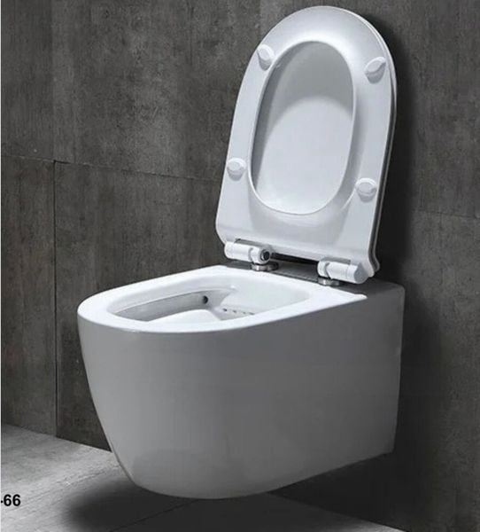 Bồn cầu âm tường cao cấp K66