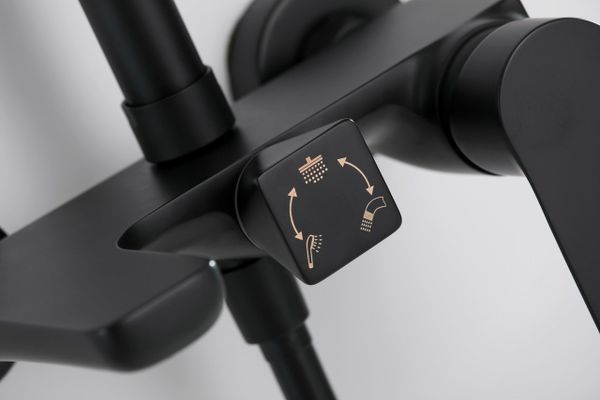 Sen cây tắm cao cấp K06731B màu đen