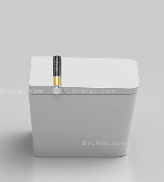 Bồn cầu thông minh hình vuông Q15