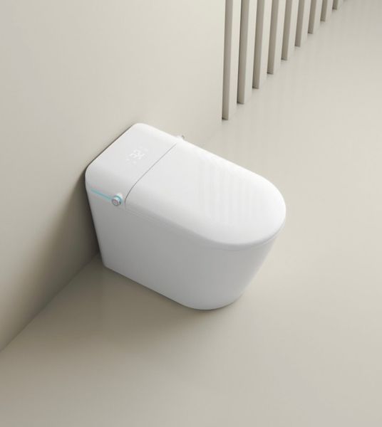 Bồn cầu thông minh siêu chống nước điều khiển bằng giọng nói AI DT6801