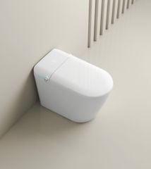 Bồn cầu thông minh siêu chống nước điều khiển bằng giọng nói AI DT6801