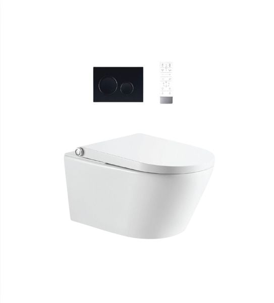 Bồn cầu thông minh treo tường H-BTS236