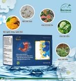 DẠ DÀY BẢO TÂM AN