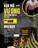 VẠN MÃ VƯƠNG - HỖ TRỢ TĂNG CƯỜNG SINH LÝ NAM GIỚI