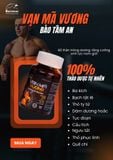 VẠN MÃ VƯƠNG - HỖ TRỢ TĂNG CƯỜNG SINH LÝ NAM GIỚI