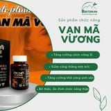 VẠN MÃ VƯƠNG - HỖ TRỢ TĂNG CƯỜNG SINH LÝ NAM GIỚI