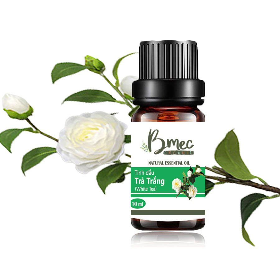  Tinh dầu trà trắng Đắk Lắk - EDE FARM - 10ml 