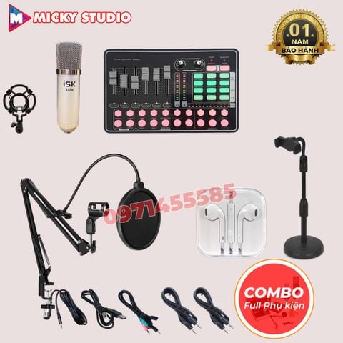 Combo  micro AT350 sound card H9