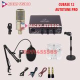 Combo Mic PC K200 Sourd Card Behringer UMC22
