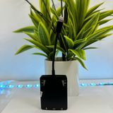 Box live mono dù  dùng cho điện thoại ip từ 14prm trở xuống pk được các app