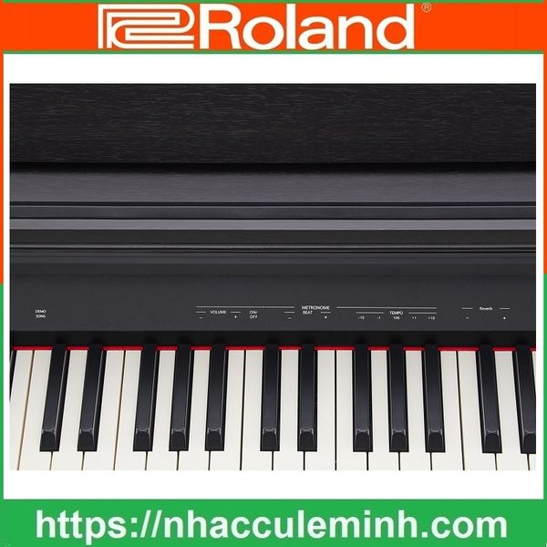 Đàn Piano Điện Roland RP 30