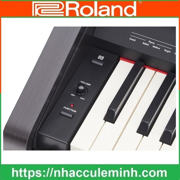 Đàn Piano Điện Roland RP 30