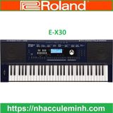 Đàn Organ Roland E-X30