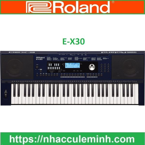 Đàn Organ Roland E-X30
