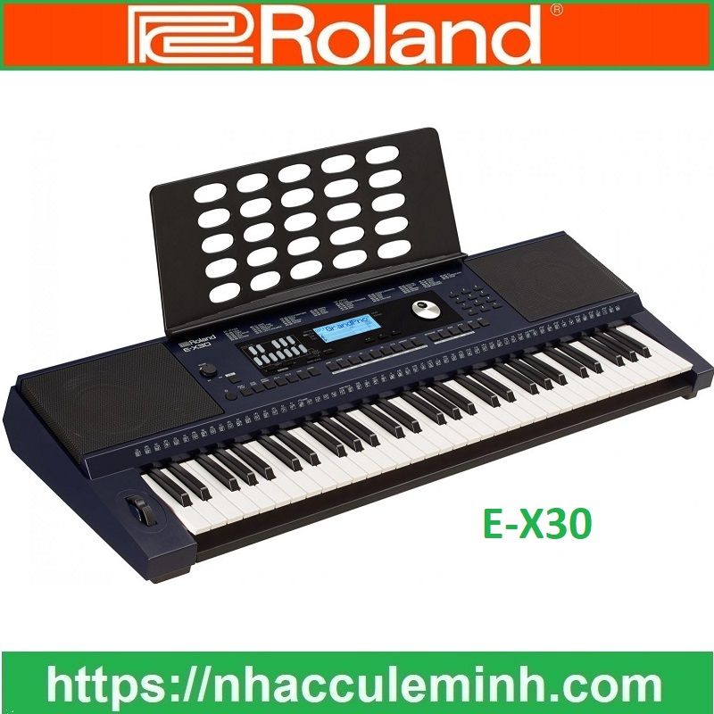 Đàn Organ Roland E-X30