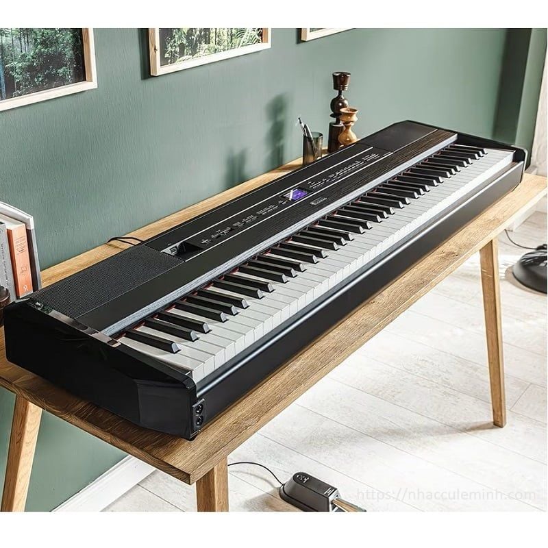 Đàn Piano Điện Yamaha P 525 B