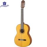 Đàn Guitar Classic Yamaha CG122MS