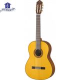 Đàn Guitar Classic Yamaha CG162S