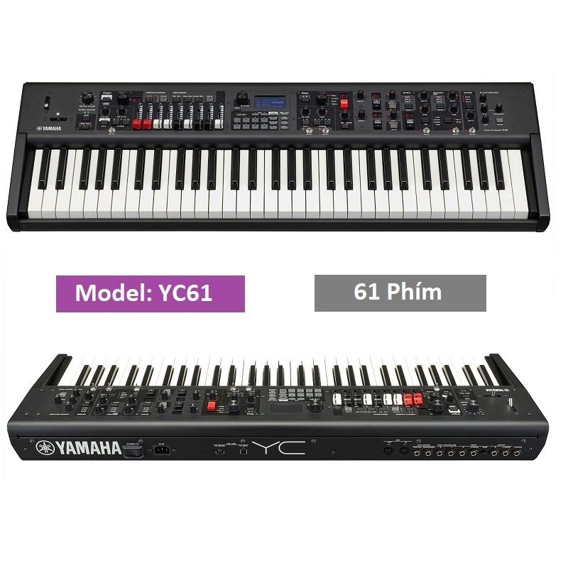 Đàn Synthesizer Yamaha YC61