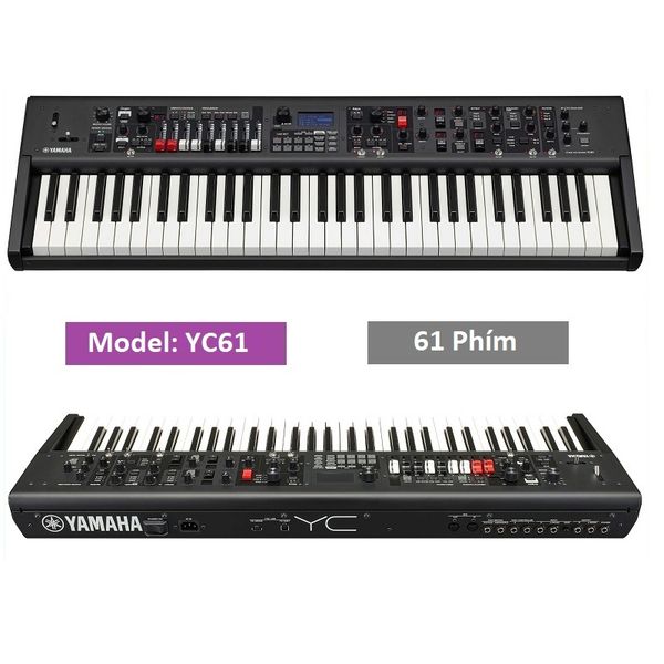 Đàn Synthesizer Yamaha YC61