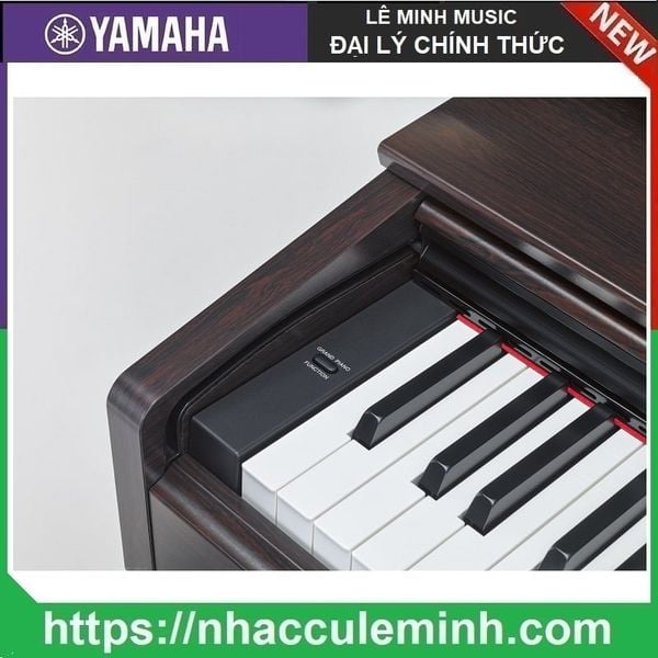 Đàn Piano Điện Yamaha YDP 103R