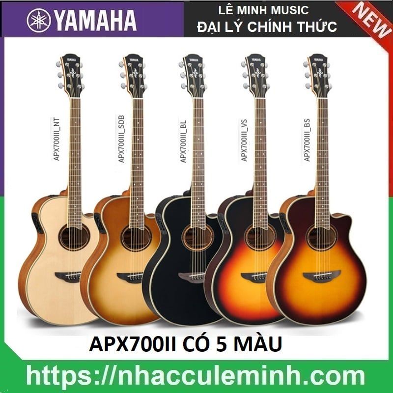 Đàn Guitar Acoustic Yamaha APX700II BS