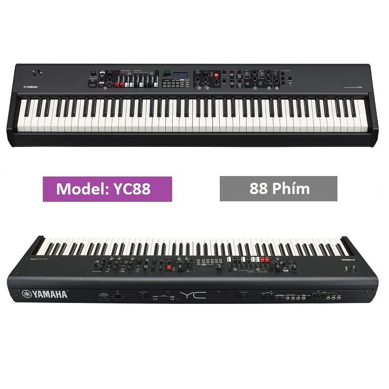 Đàn Synthesizer Yamaha YC88