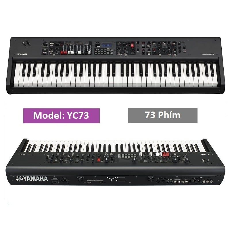 Đàn Synthesizer Yamaha YC73