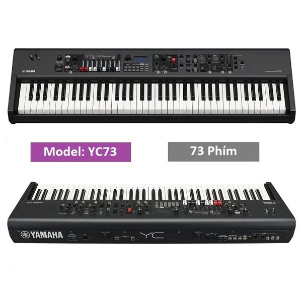 Đàn Synthesizer Yamaha YC73