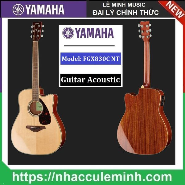 Guitar Acoustic Yamaha FGX830C NT